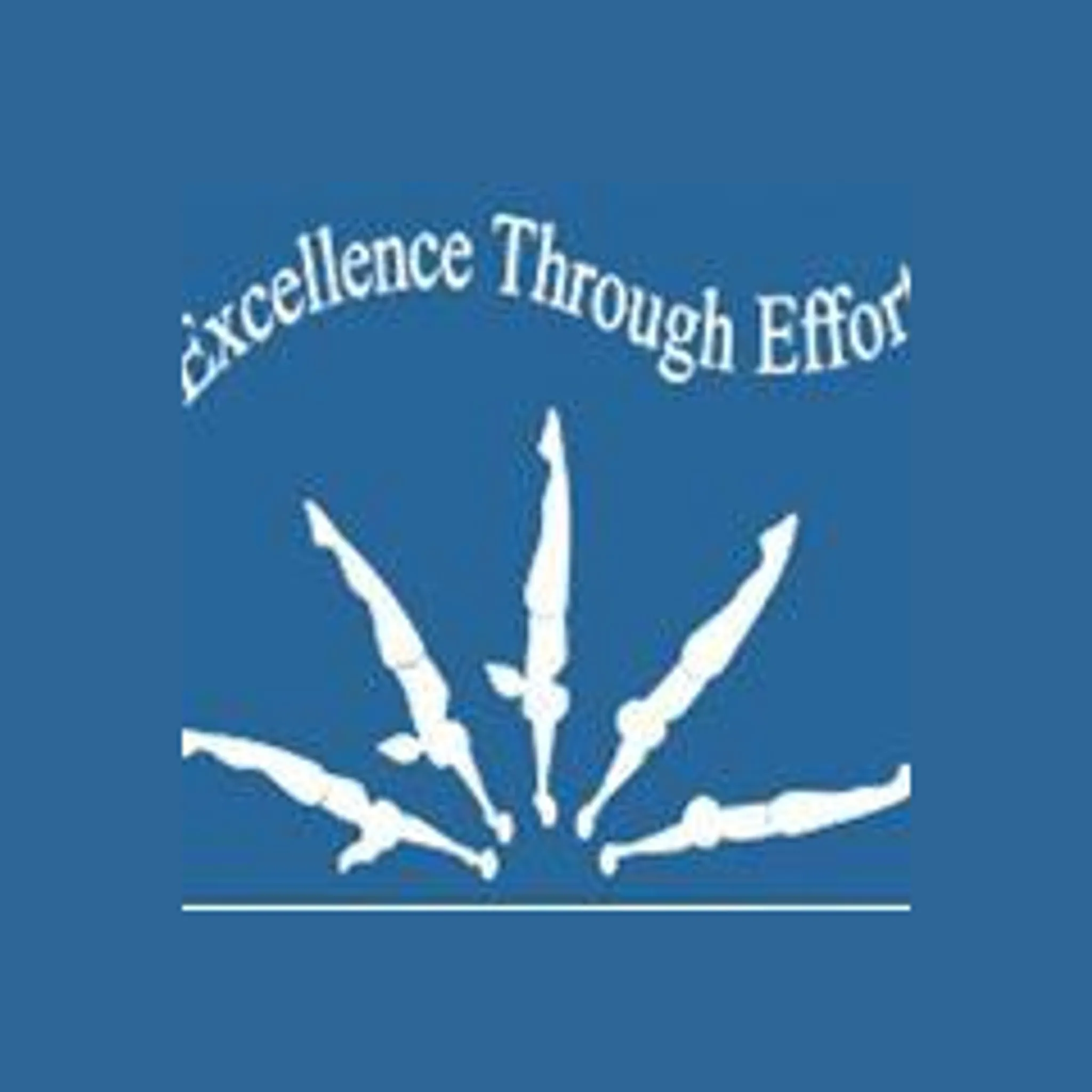 Lawnton Academy of Artistic Gymnastics