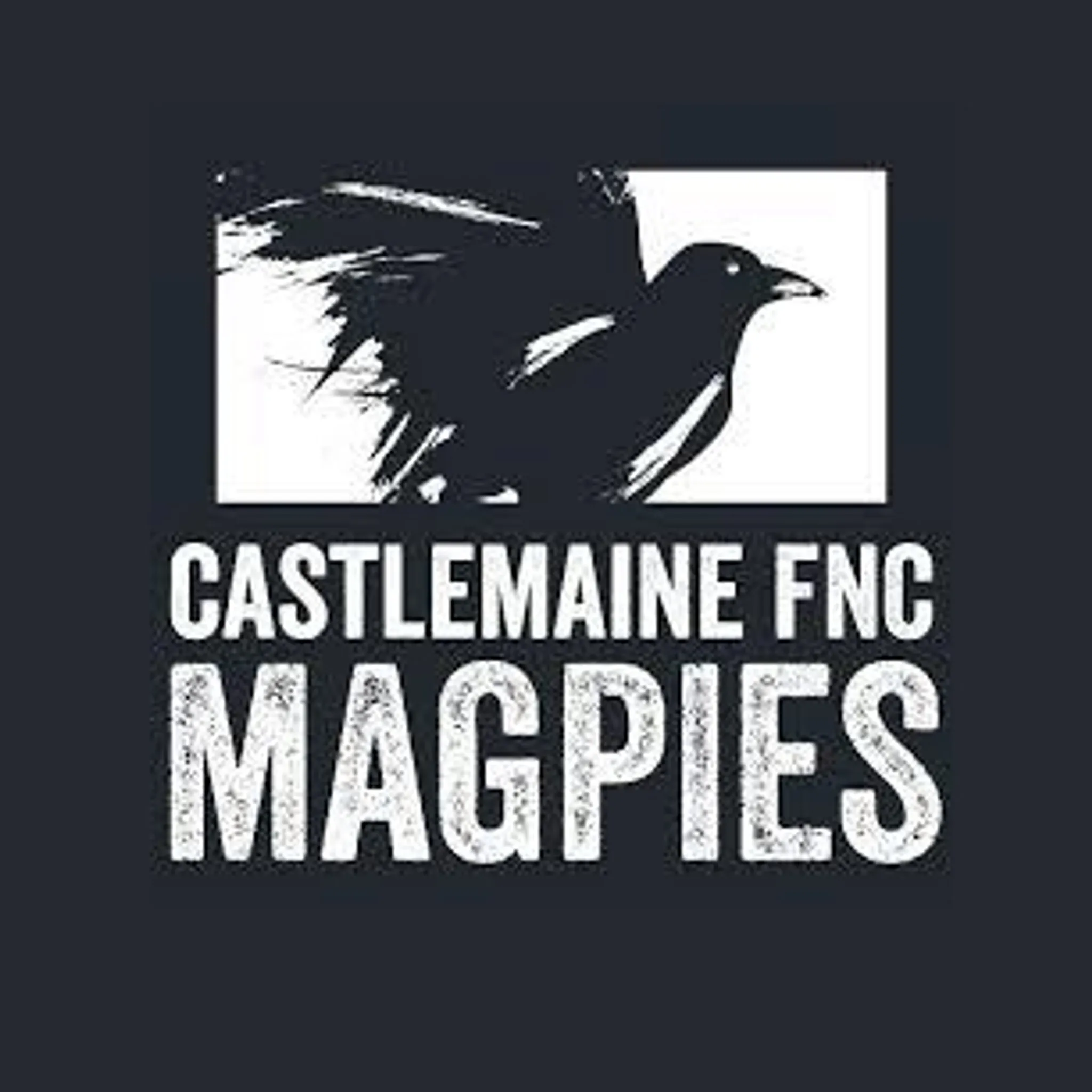 Castlemaine Football & Netball Club