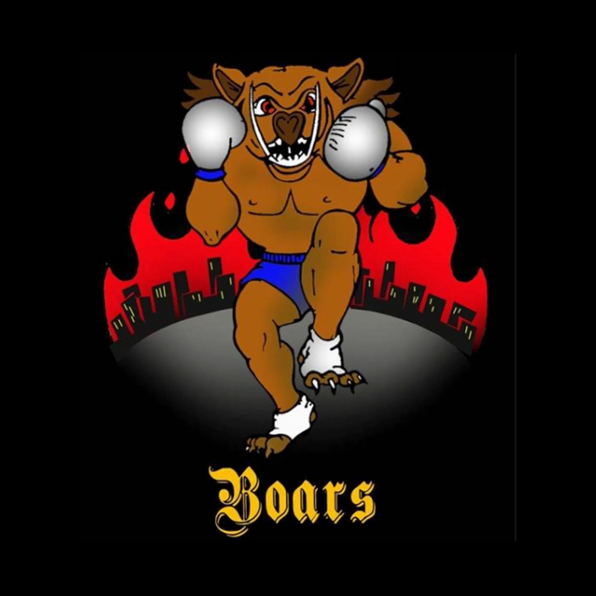 Boars Martial Arts Academy