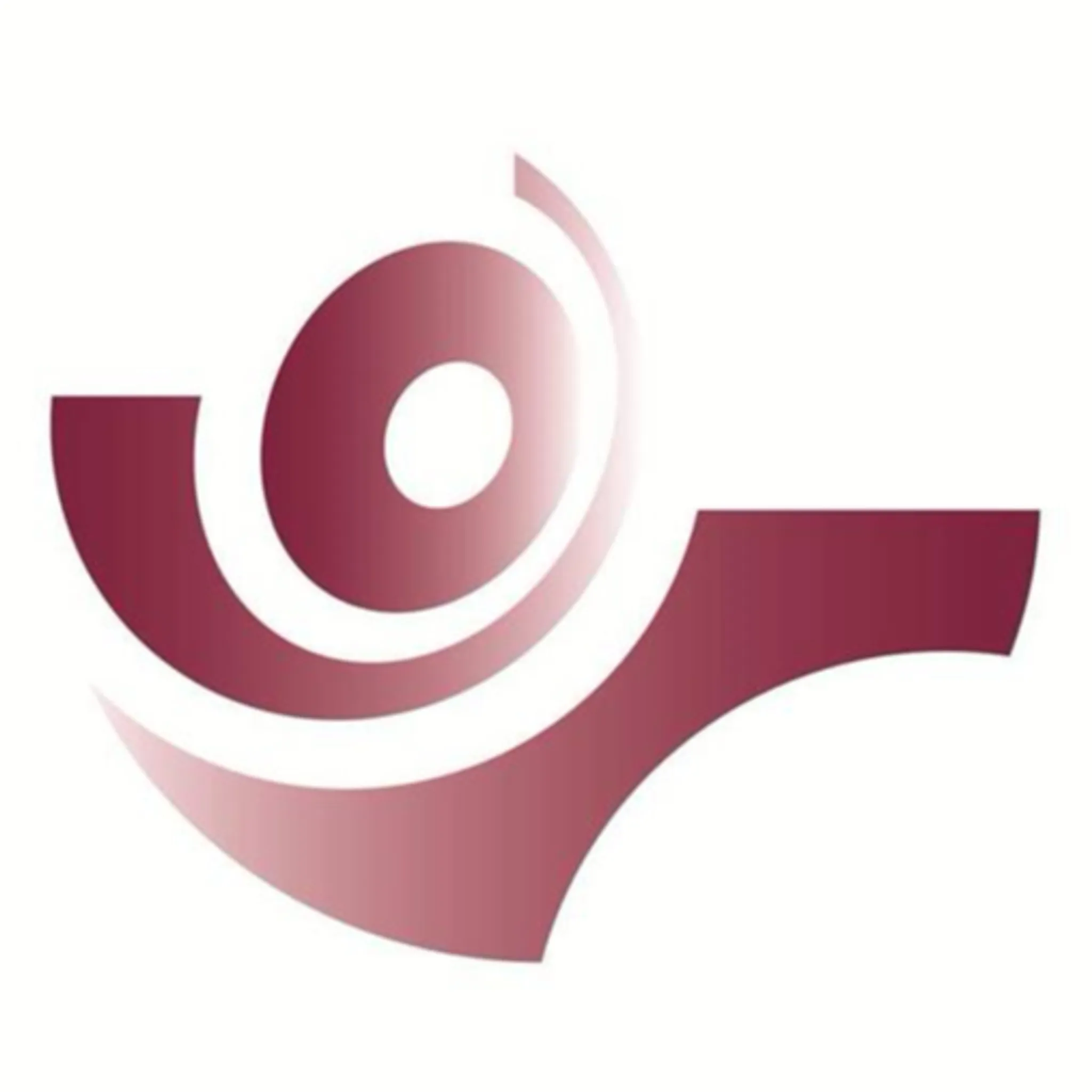 Pistol Shooting Queensland