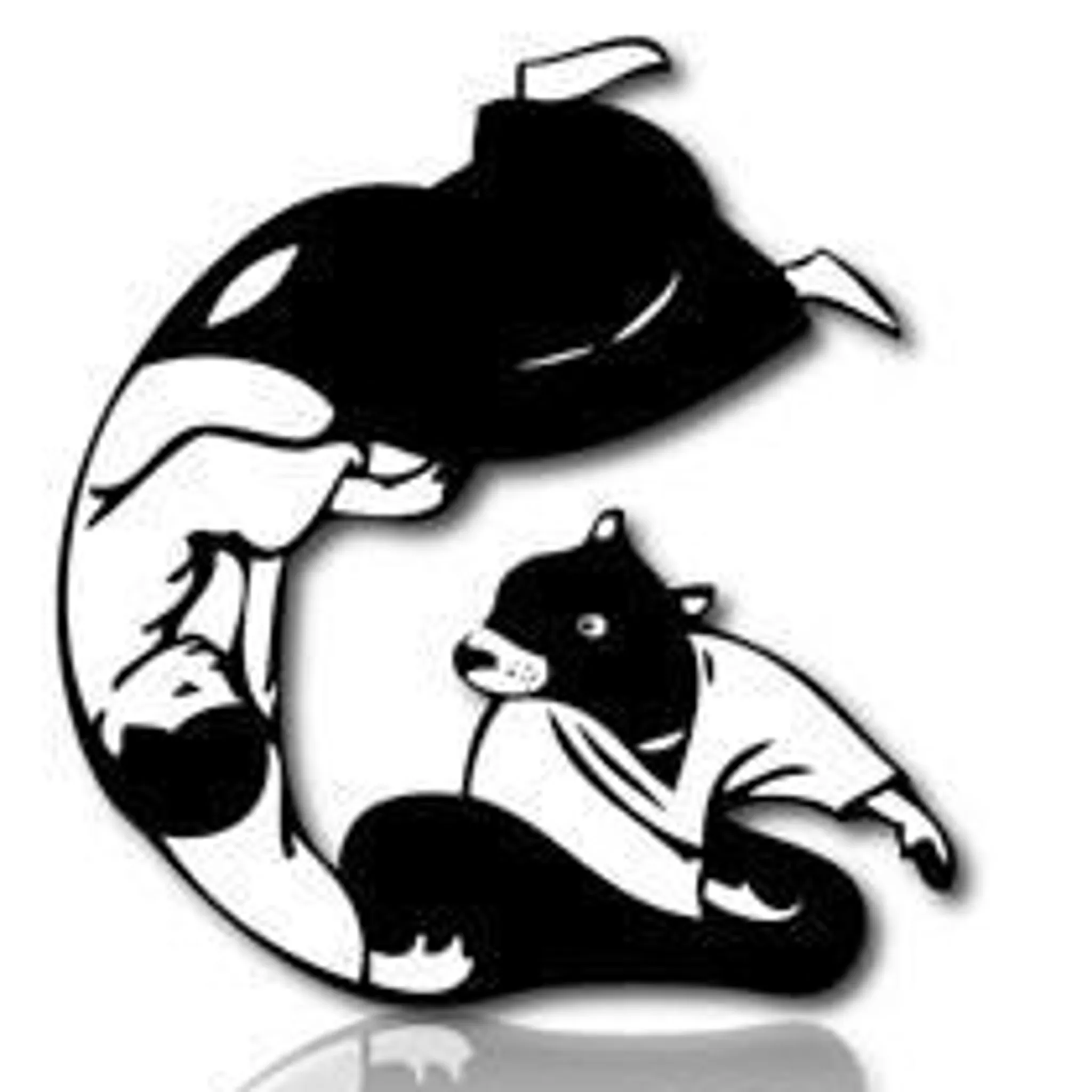 Aikido AikiKai Tasmania