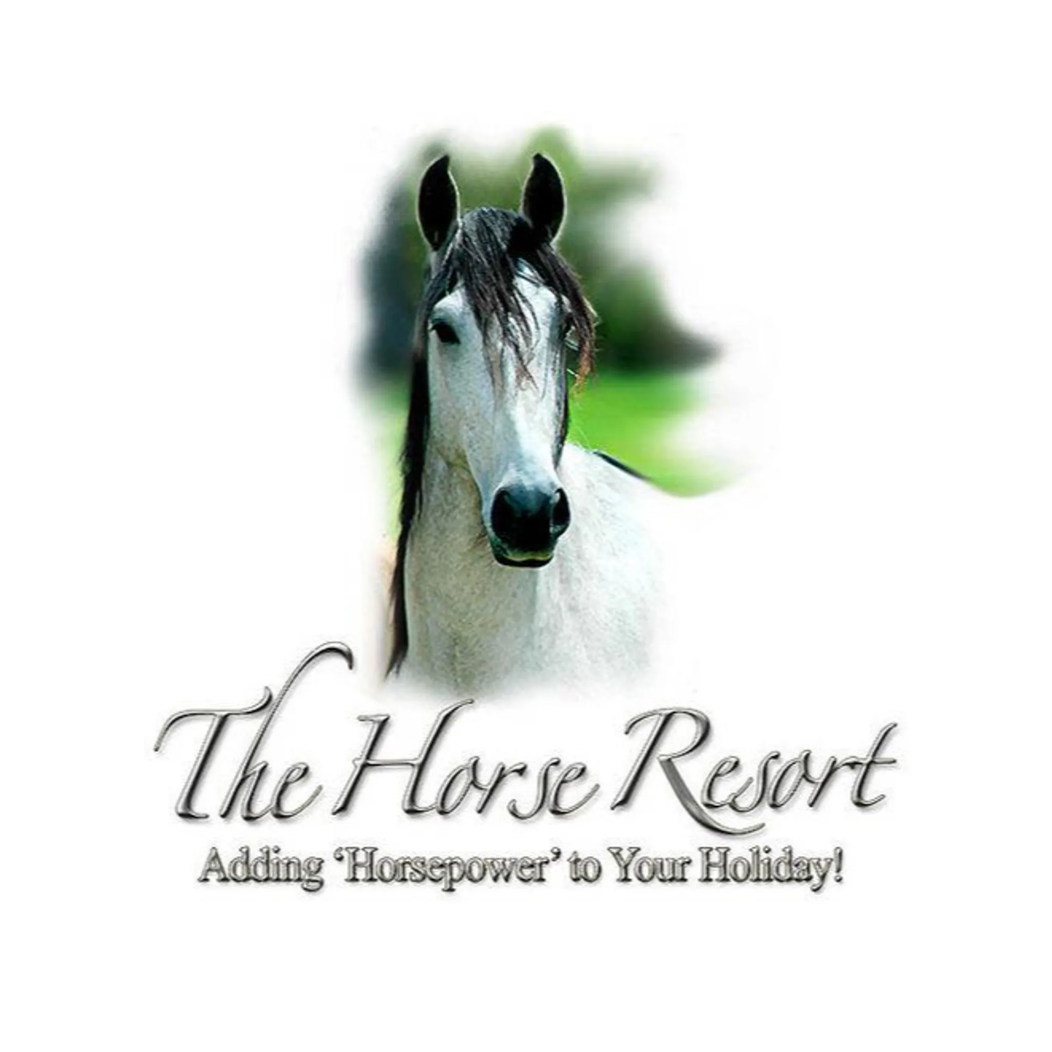 Horse Resort