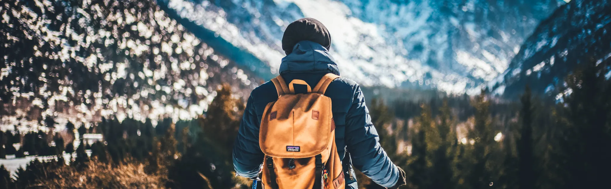 Nordic Combined banner