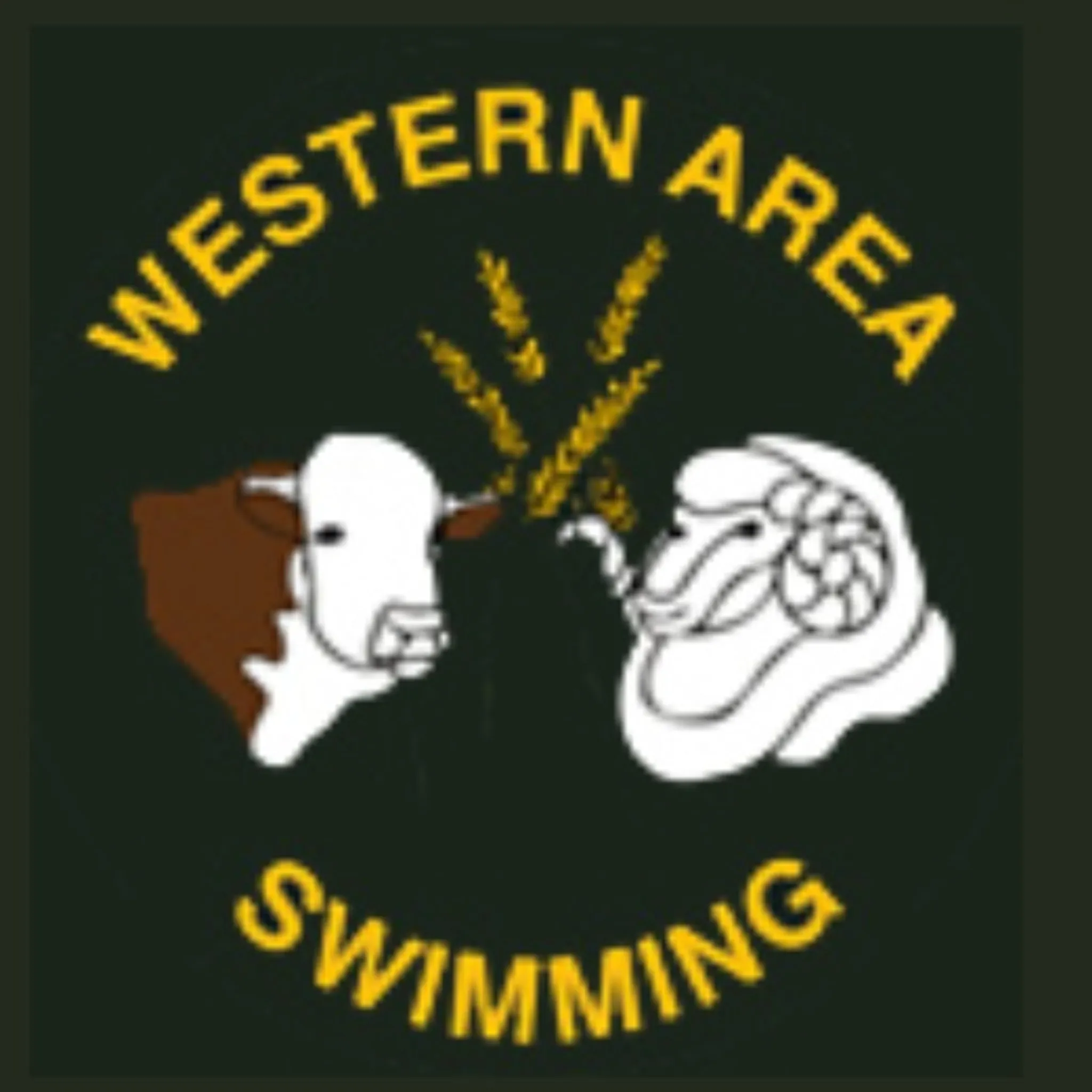 Swimming Western Area NSW