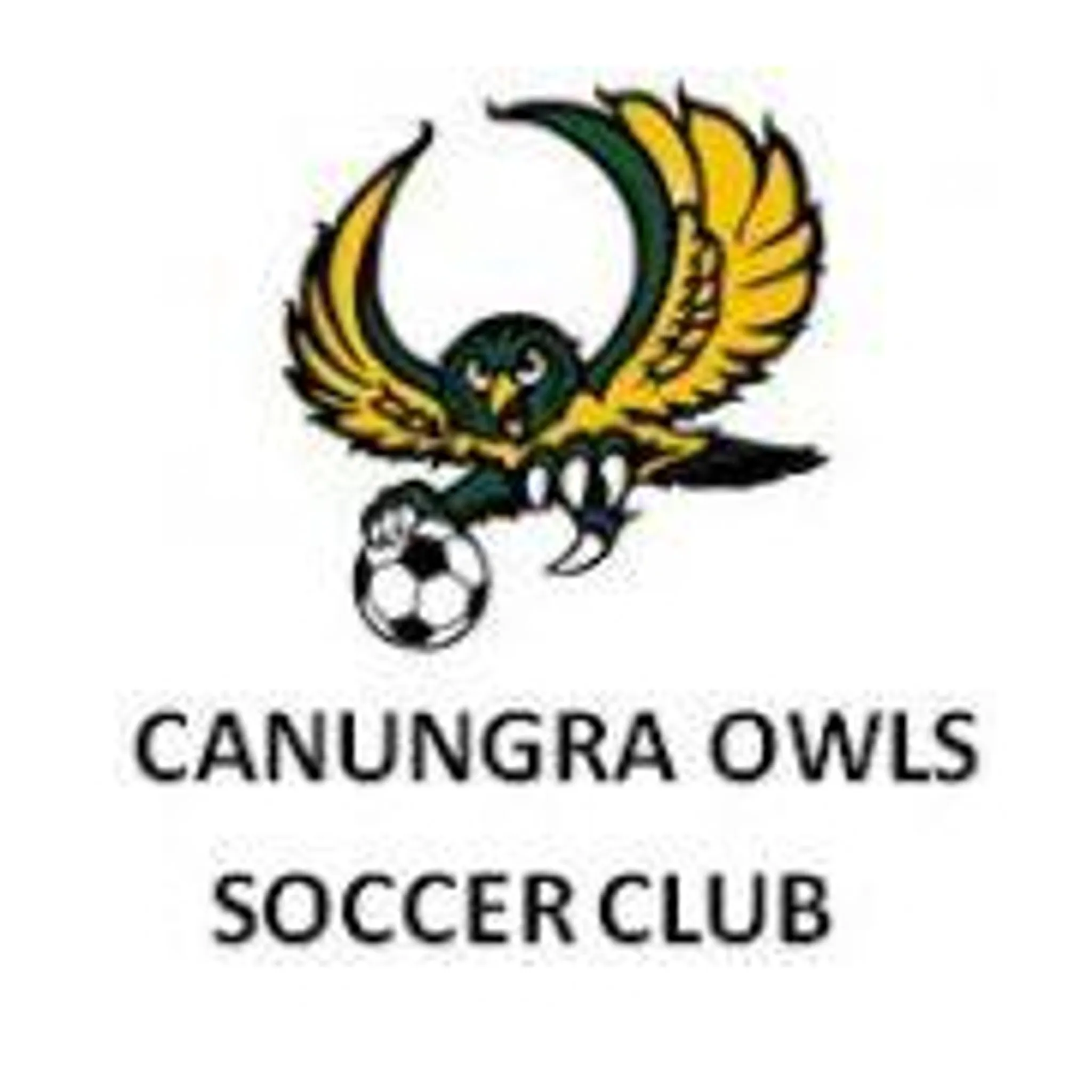 Canungra Owls Soccer Club