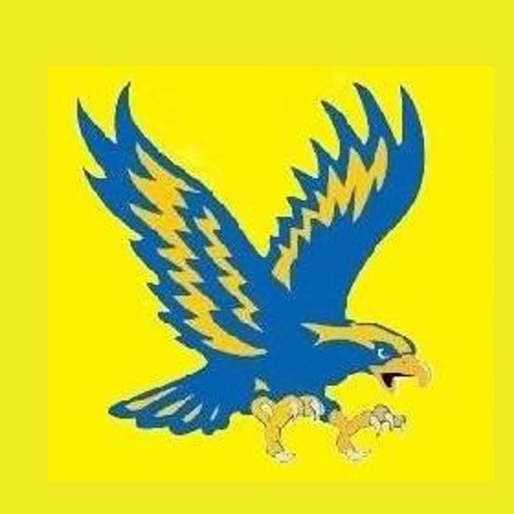 Manning Memorial Bowling Club Inc