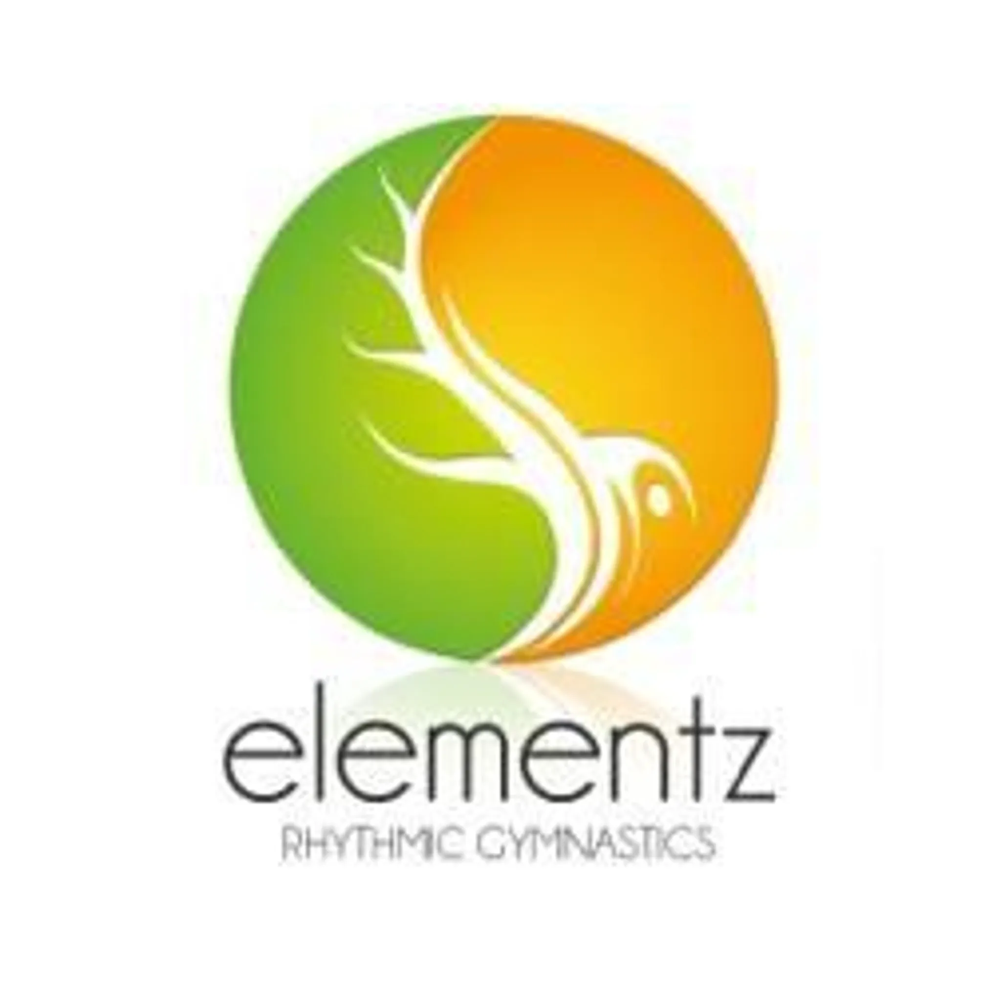Elementz Rhythmic Gymnastics