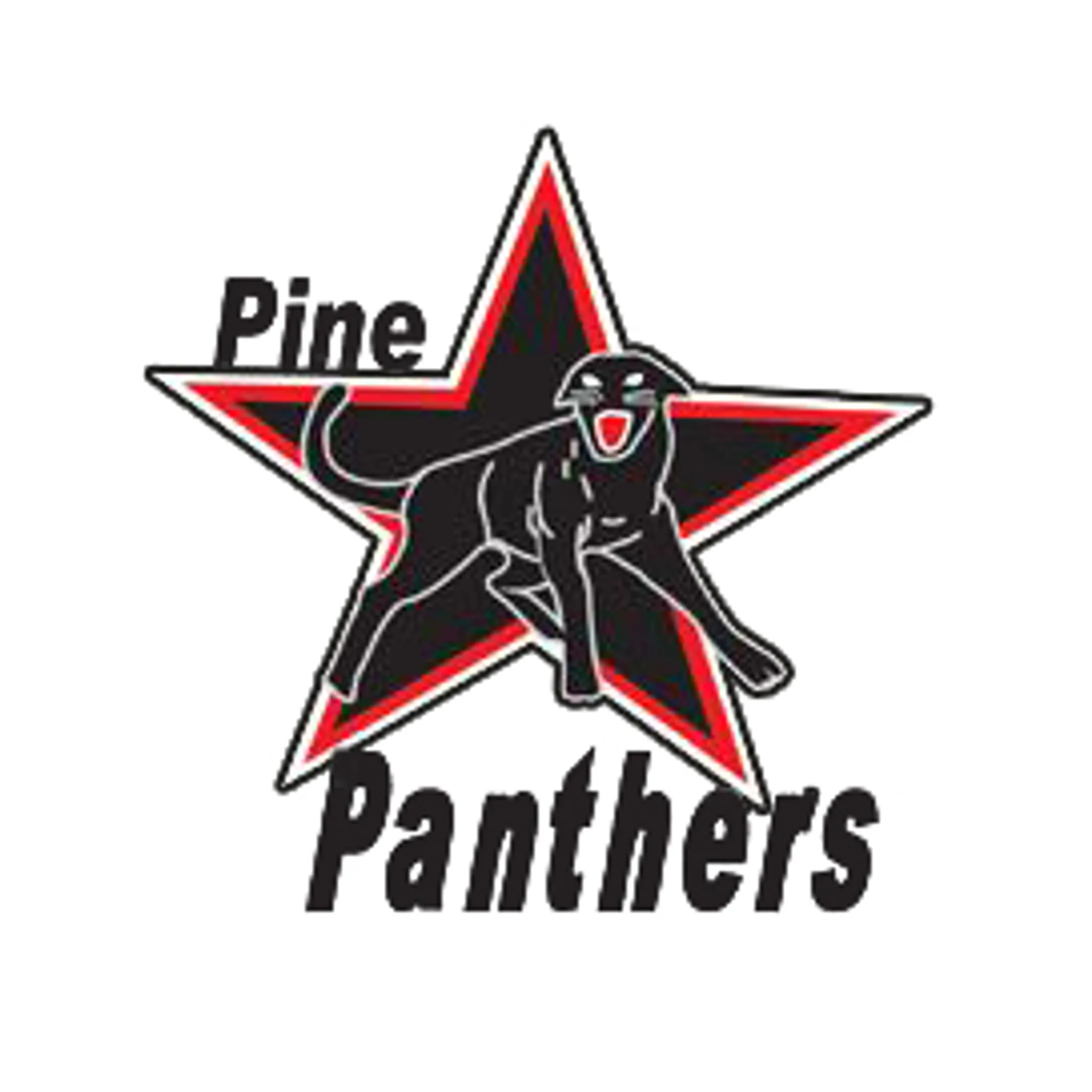 Pine Panthers Netball Club