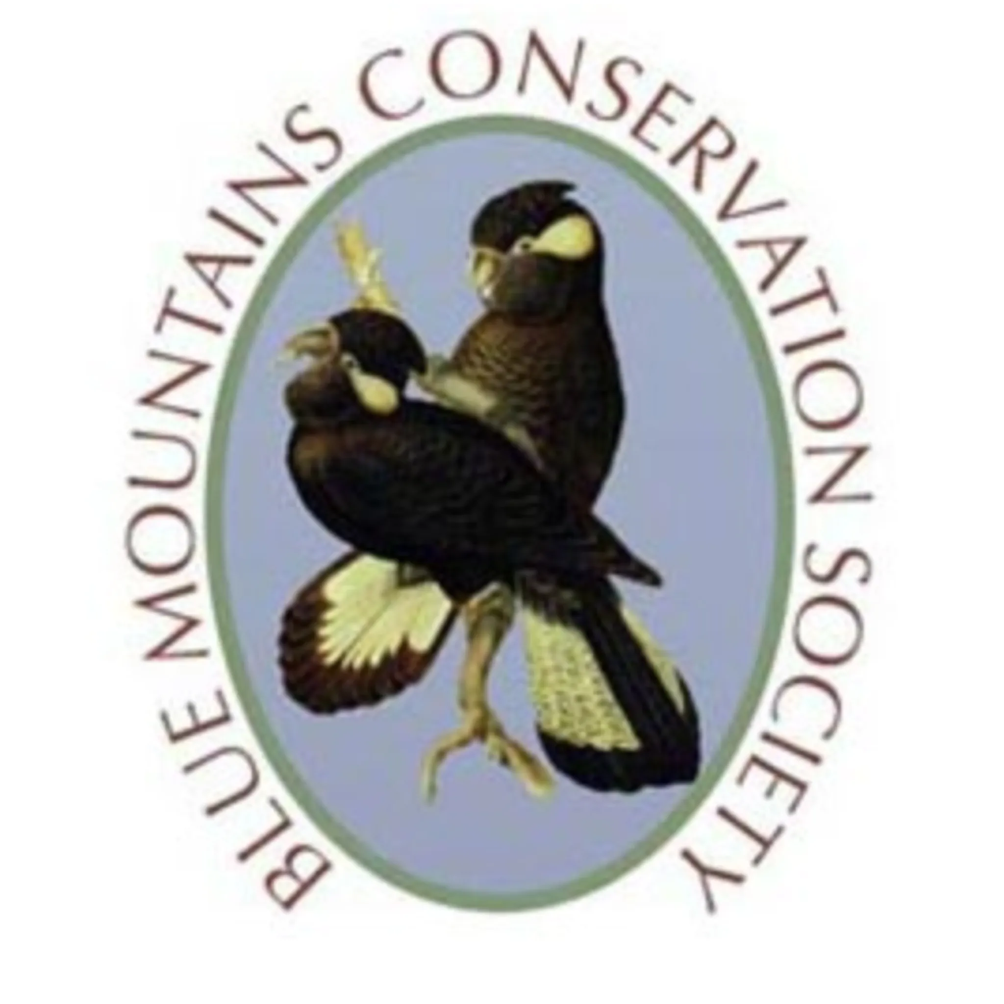 Blue Mountains Conservation Society Bushwalking Club