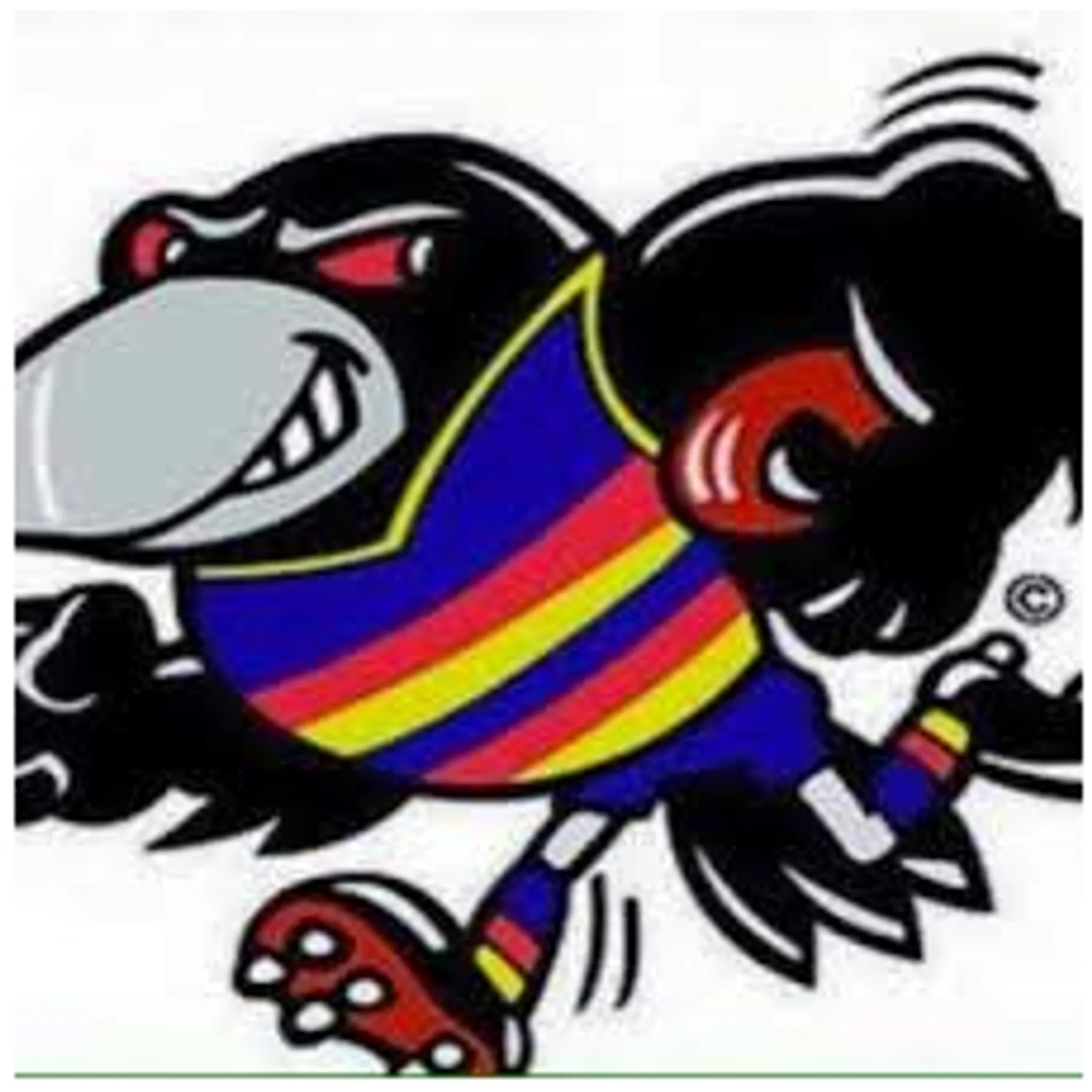 Billabong Crows Netball Club