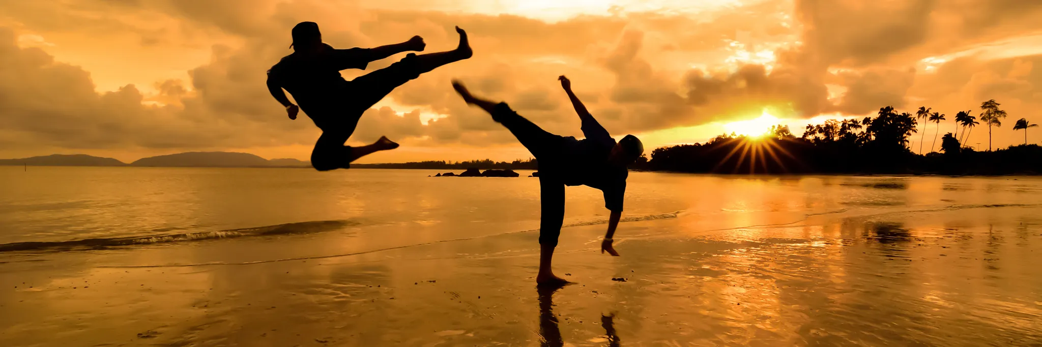 Australian Jow Ga Kung Fu Academy