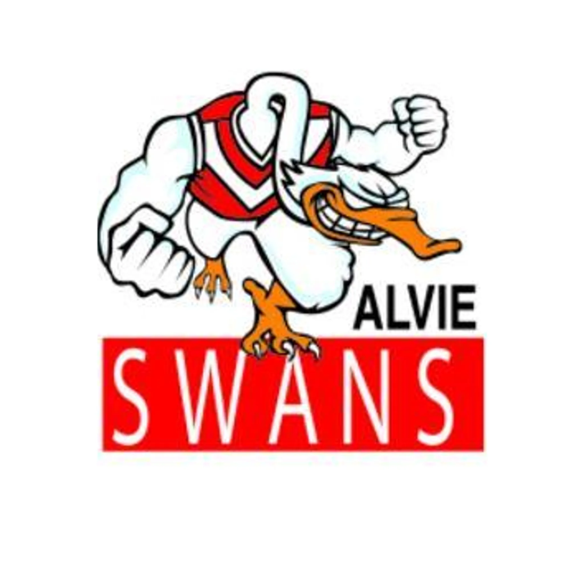 Alvie Swans Netball Club