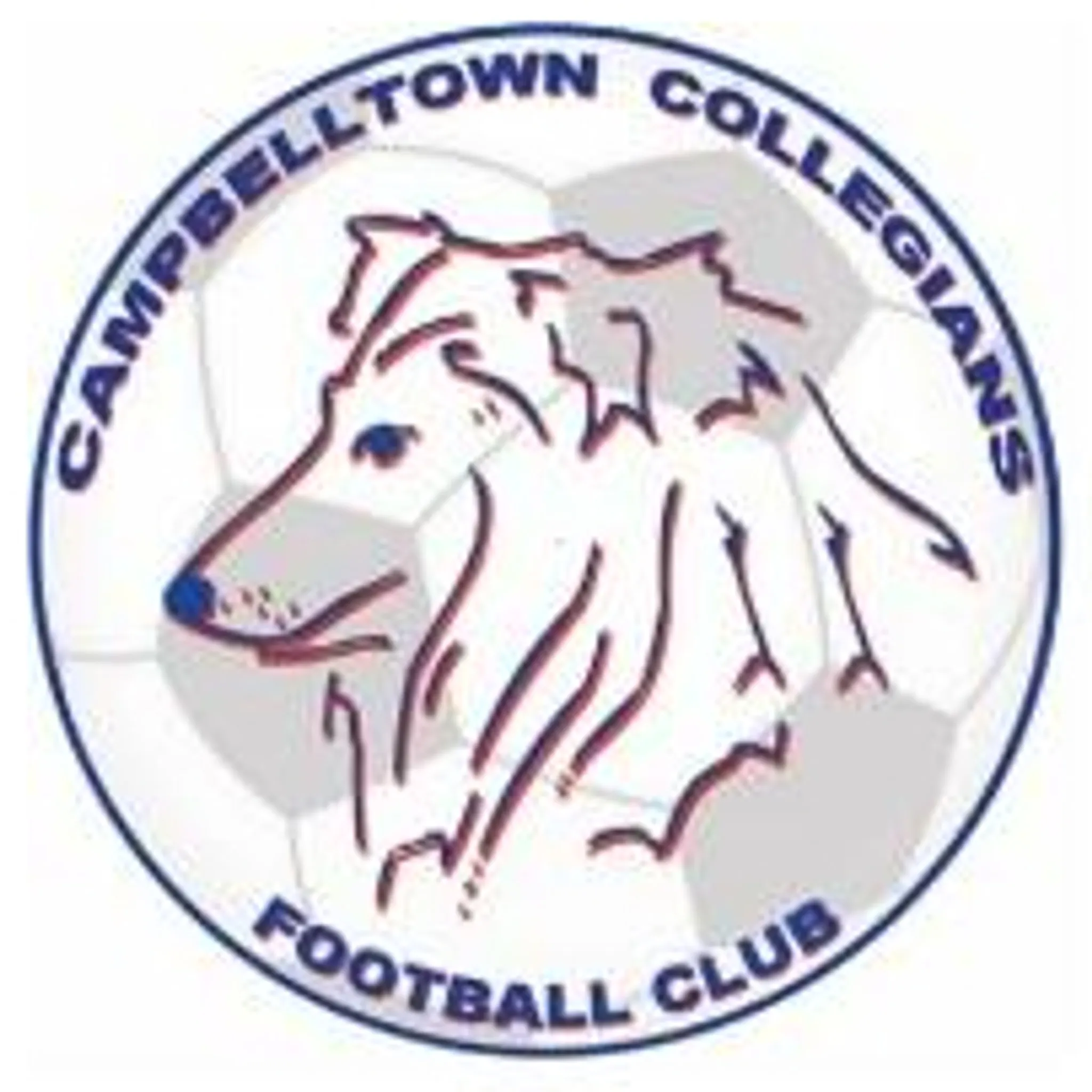 Campbelltown Collegians FC (Macarthur Football Association Inc)