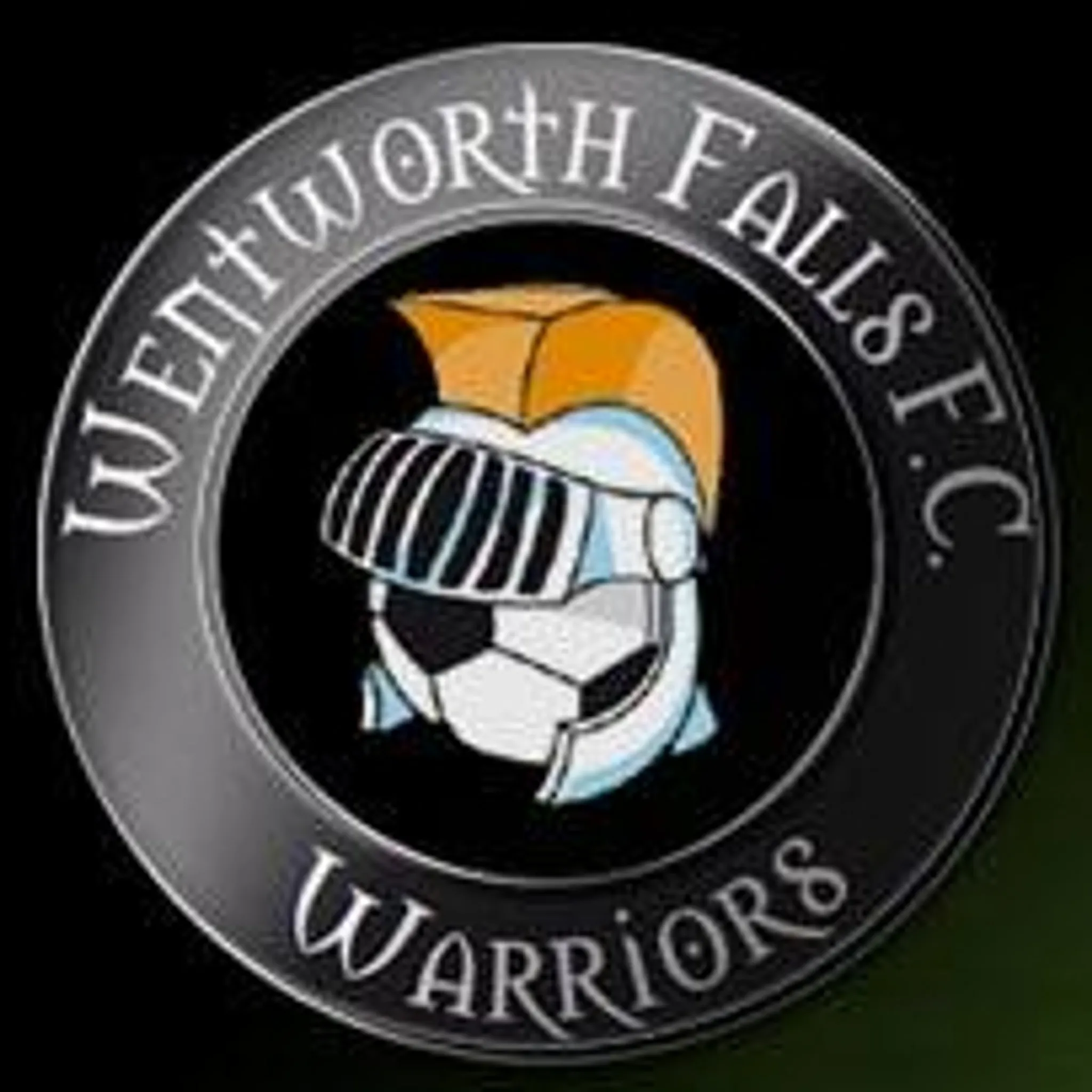 Wentworth Falls FC