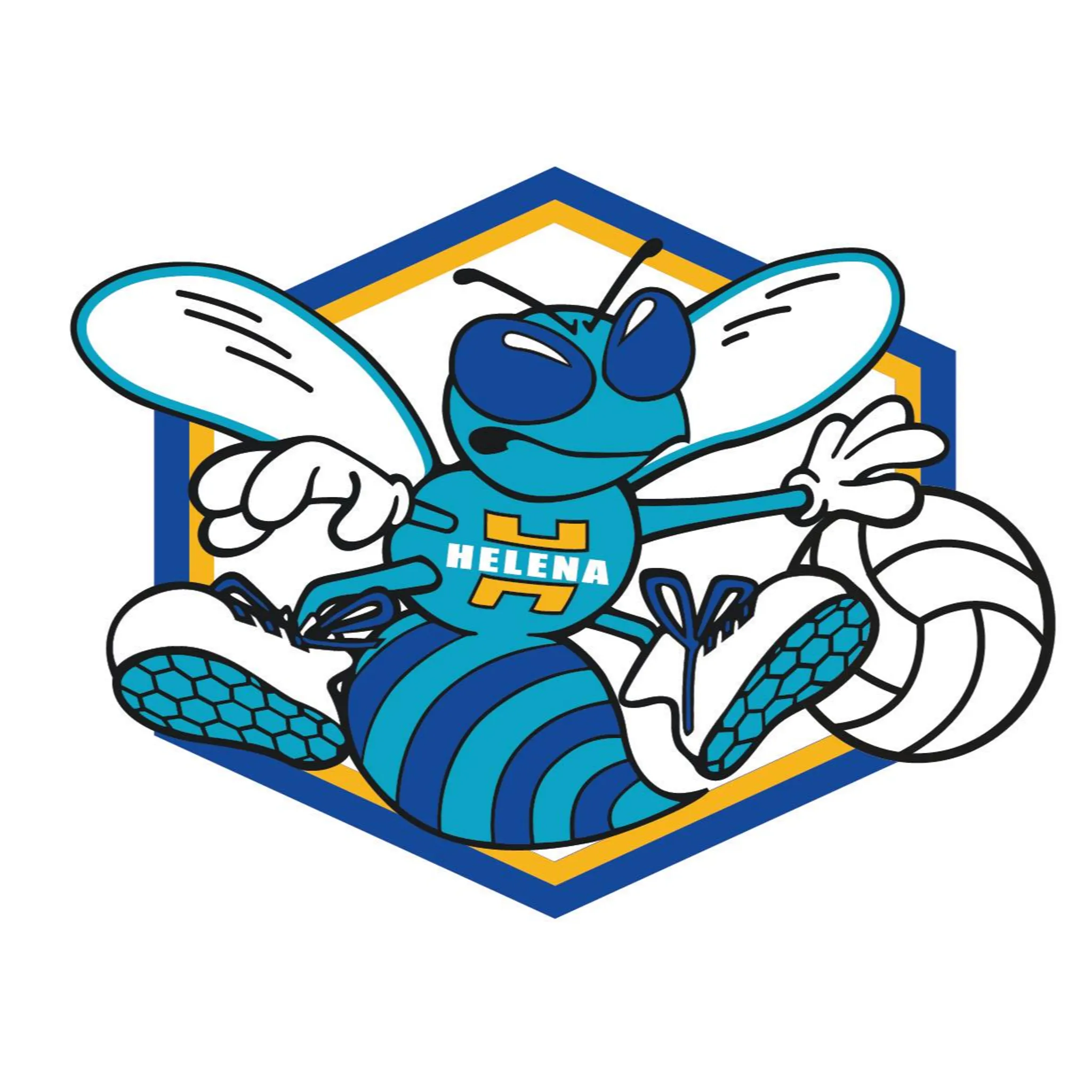 Helena Hornets Netball Club