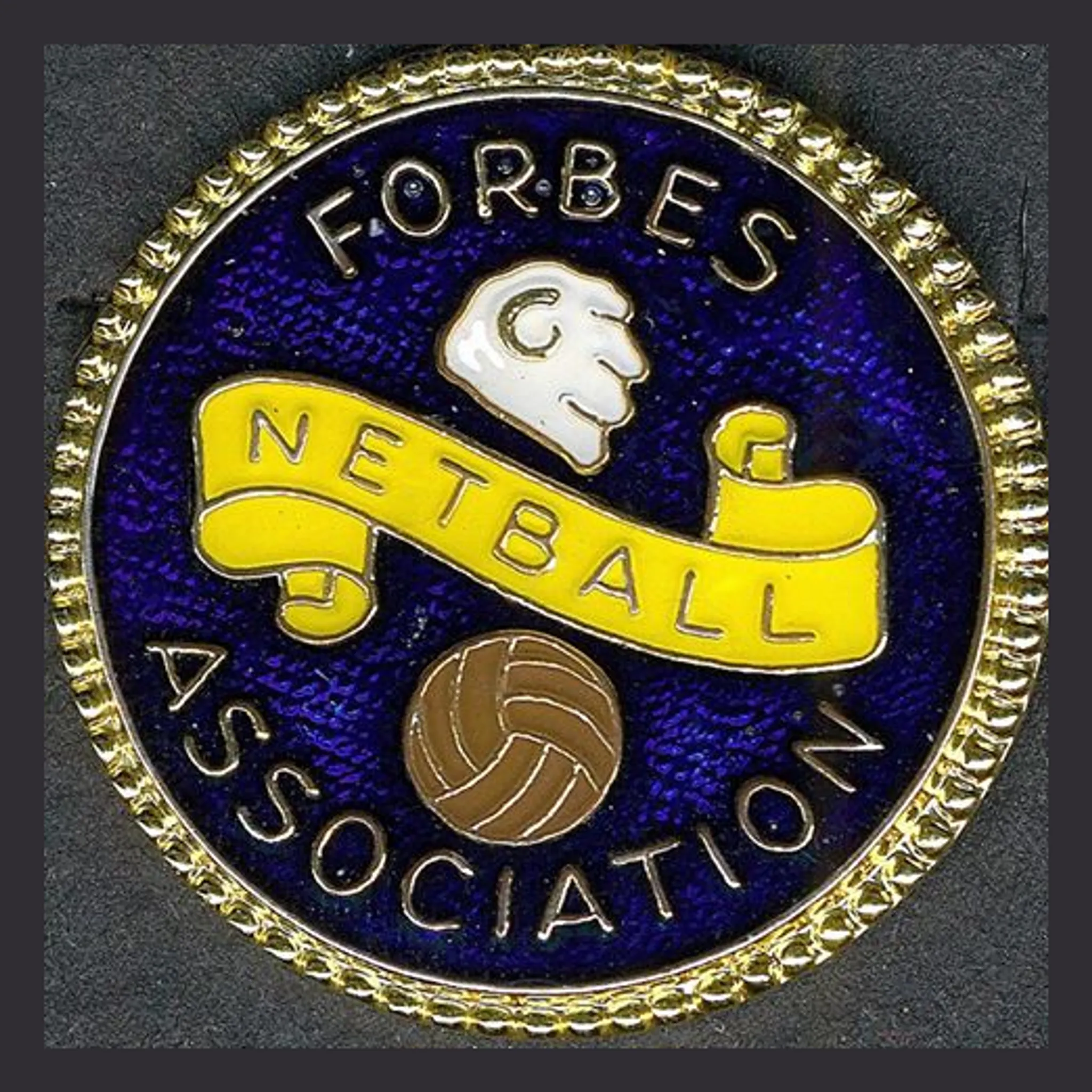 Forbes Netball Association