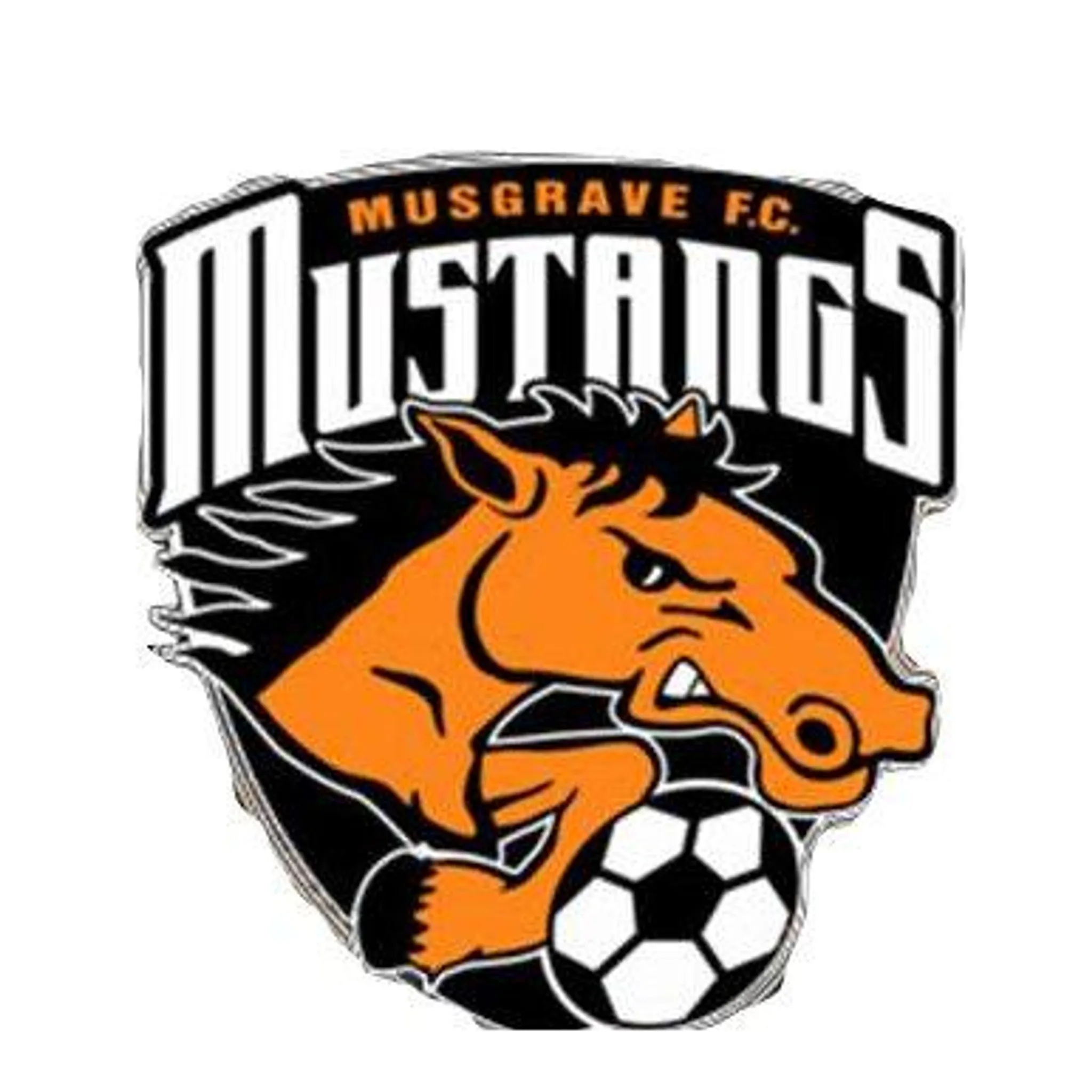 Musgrave Soccer Club