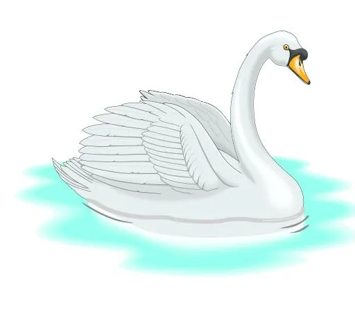 Danceland