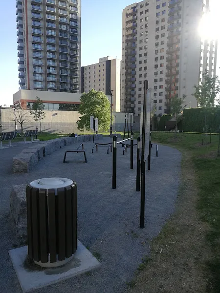 Aire d'entraînement pour adultes