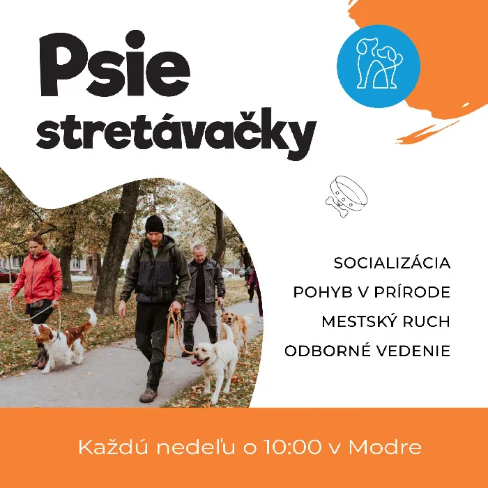 Kynologický klub Jána Stolárika Modra
