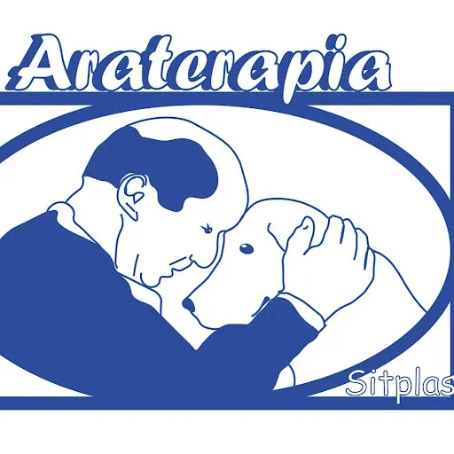 Araterapia