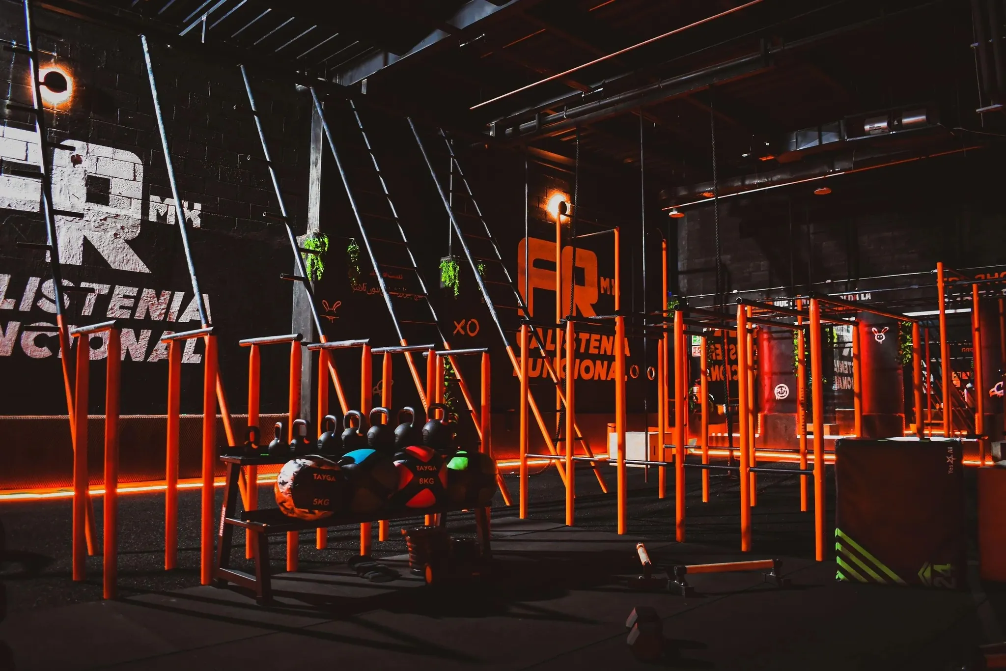 Fitness Rep Mx - Gimnasio de Calistenia y Entrenamiento Funcional