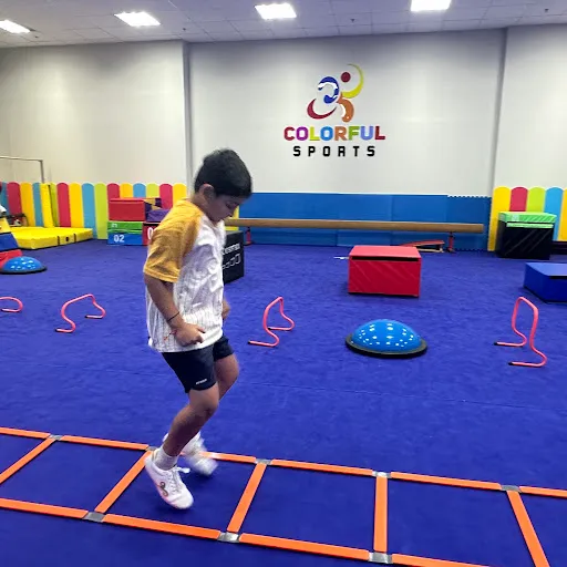 Colorful Sports (新加坡多彩中华武术学院)