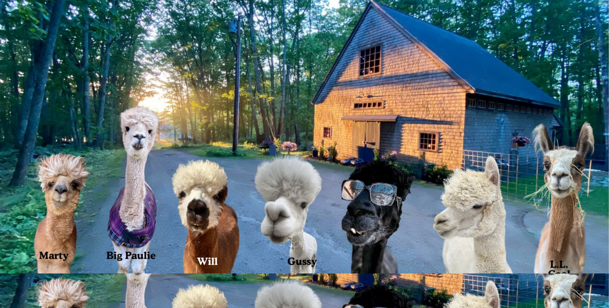 Lulu's Barn