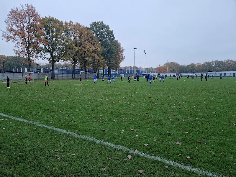 football Baardwijk