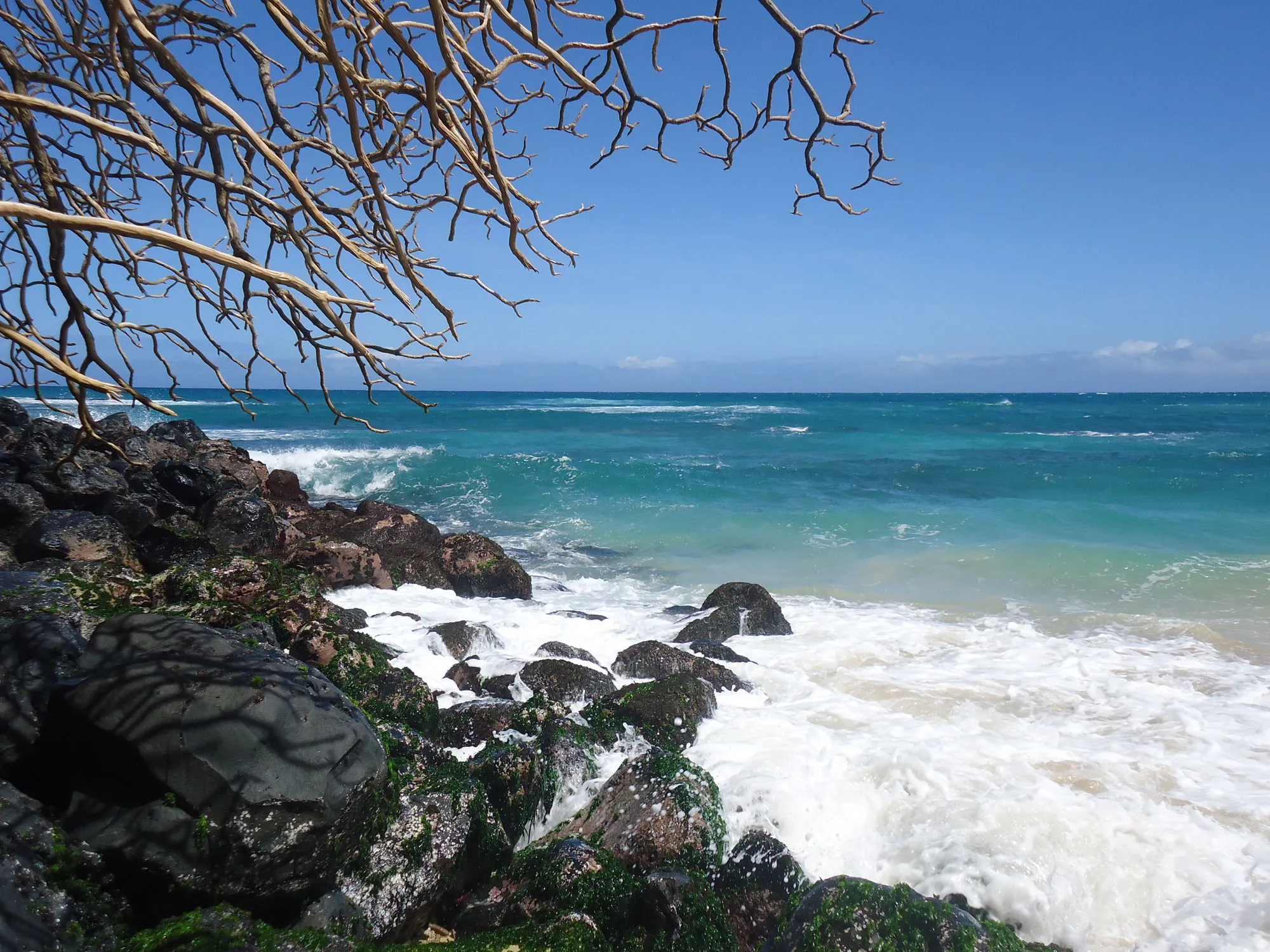 Hula Tanz aus Hawaii