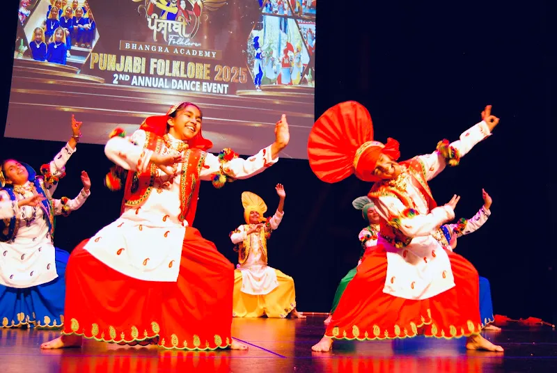 Punjabi Folklore Bhangra Academy