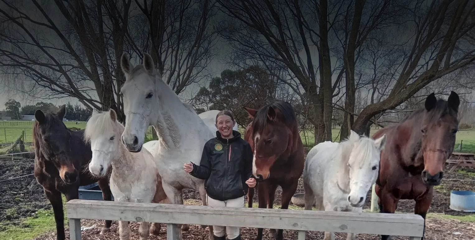 Abi's Natural Horsemanship