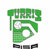 Turris Pisa - Palestra