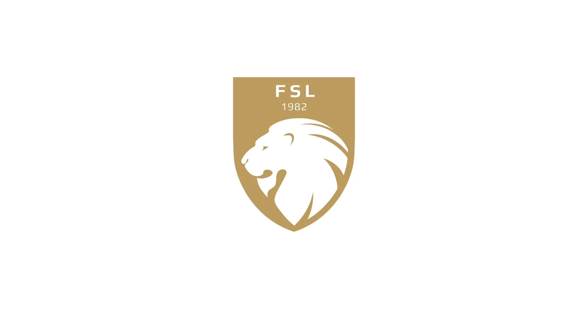 ASKÖ Fussballschule Linz