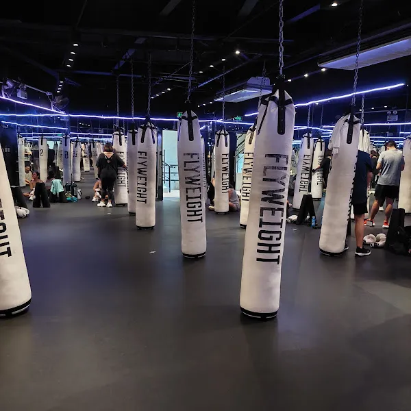 Flyweight Boxing