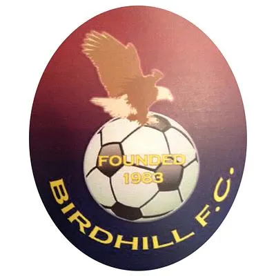 Birdhill FC