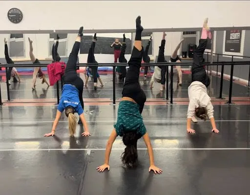 Artedanzacademy Centro Professionale Formazione Tersicorea