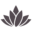 Yogakraft