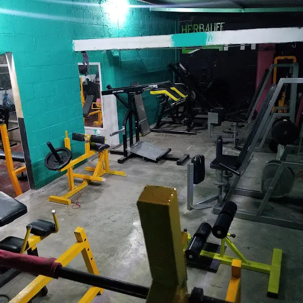 Spartanos Gym