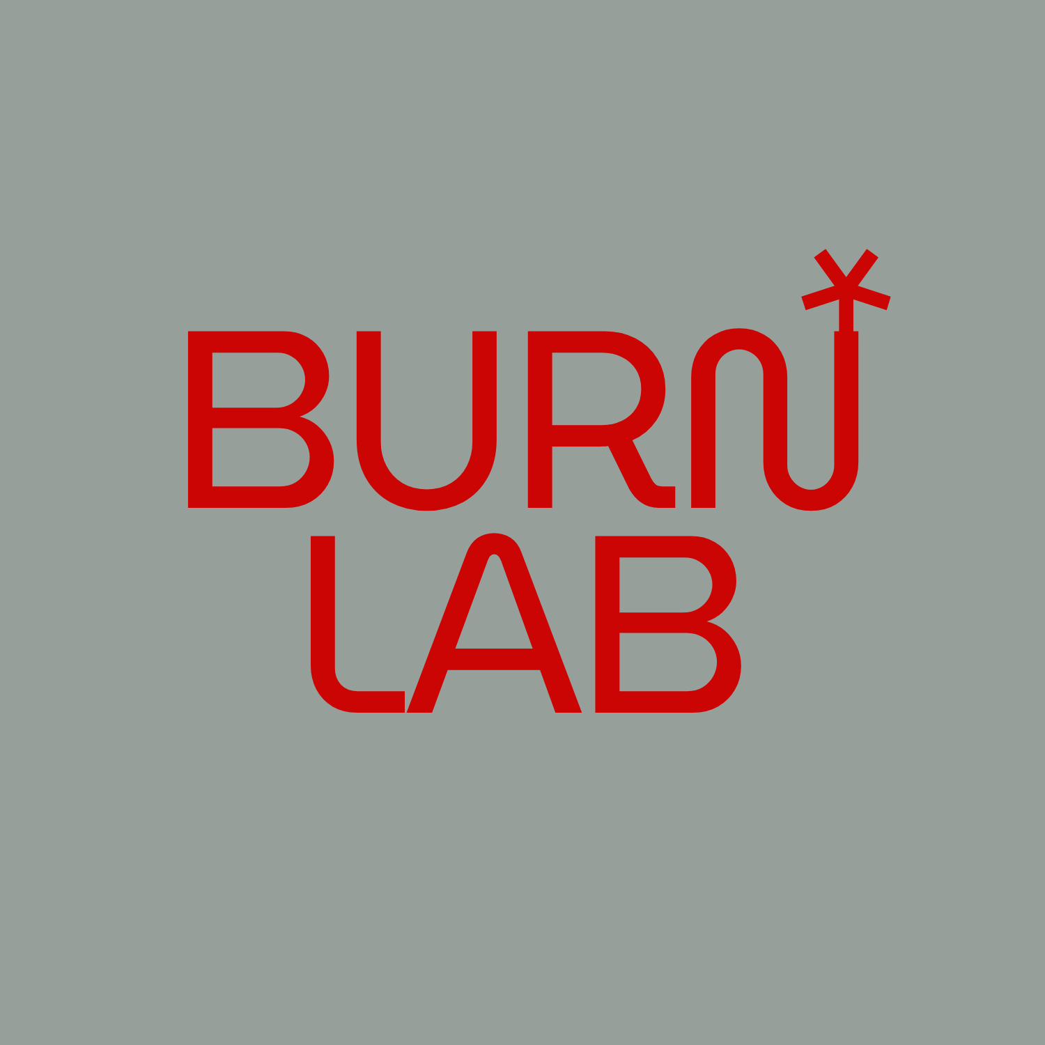 Burn Lab