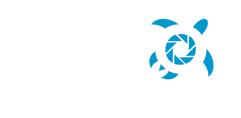 AKITO DIVING KOSARISKA
