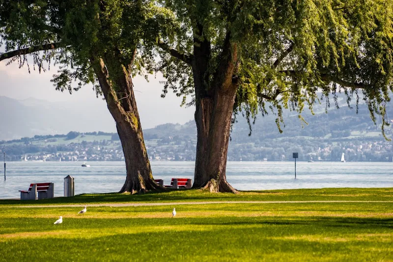 Drachenboot und Wassersportclub Bodensee