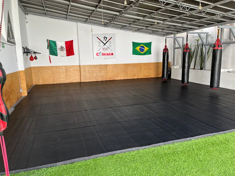 DOJO CHIKARA ALLIANCE MODERNA