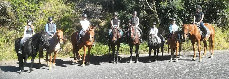 Bannockburn Riding Academy