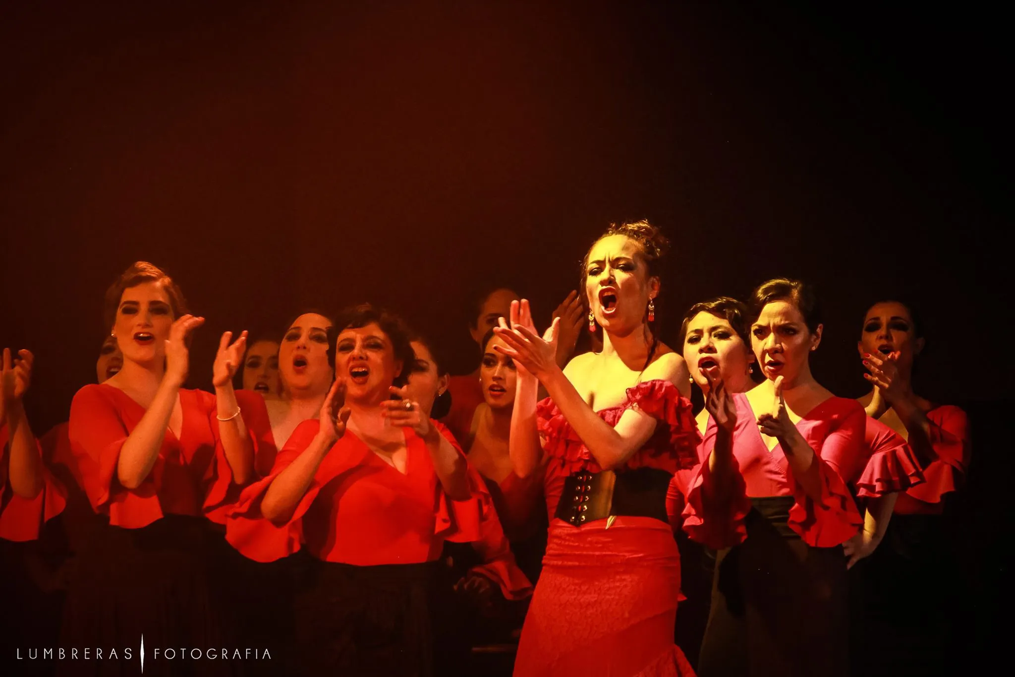 Tauro Flamenco