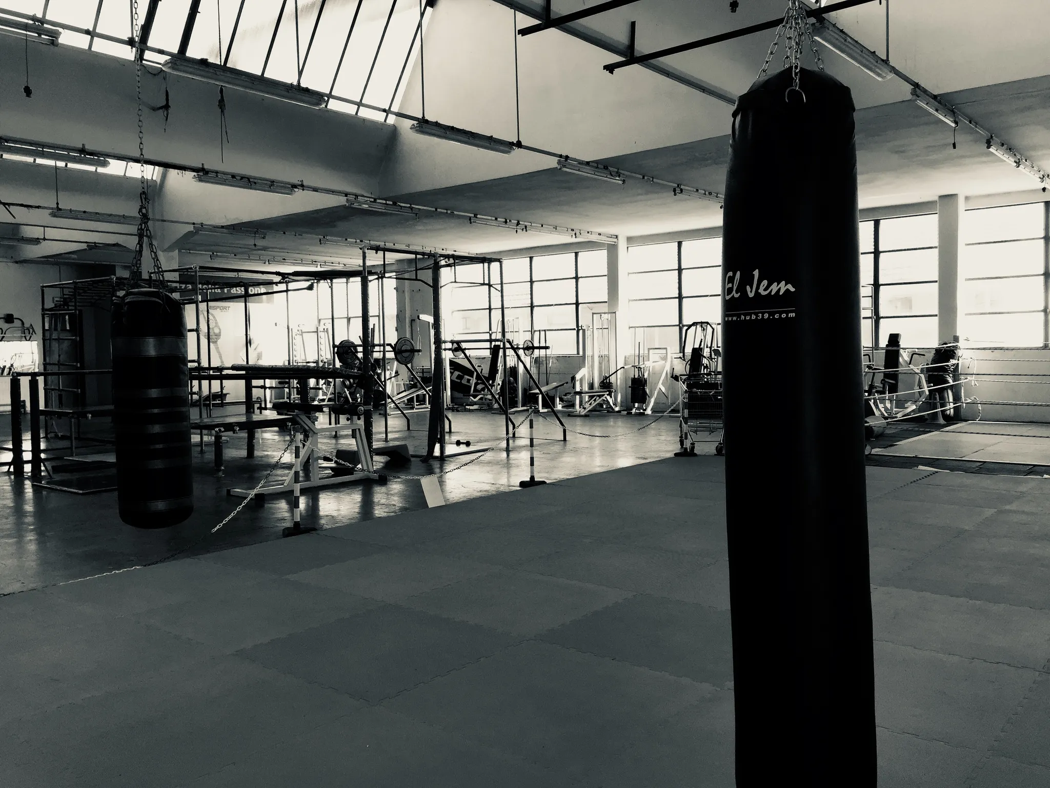 Palestra Europa Club