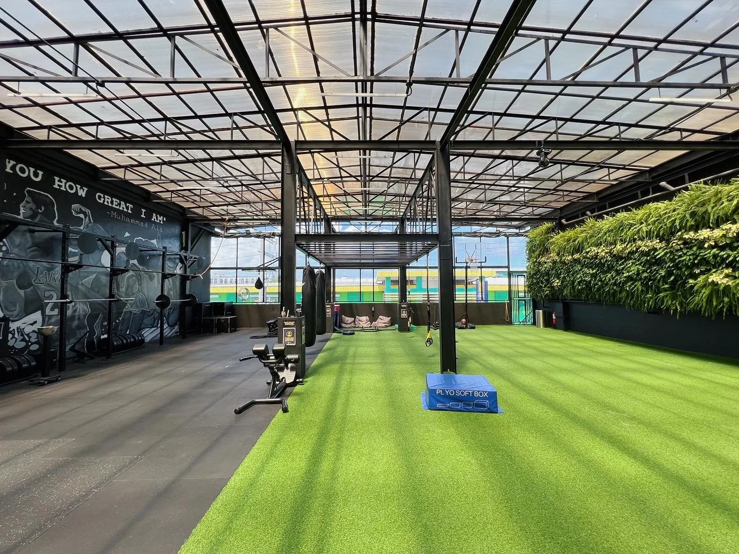 Gripped Fitness Gym