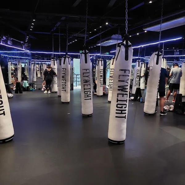 Flyweight Boxing