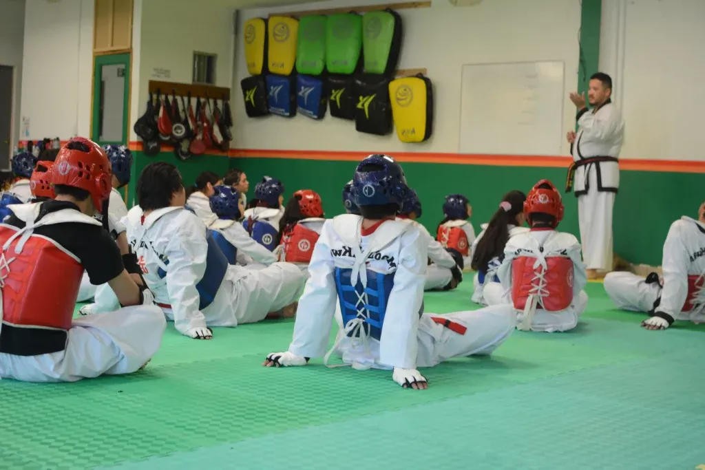 MDK Alba Roja - Academia de TaeKwonDo