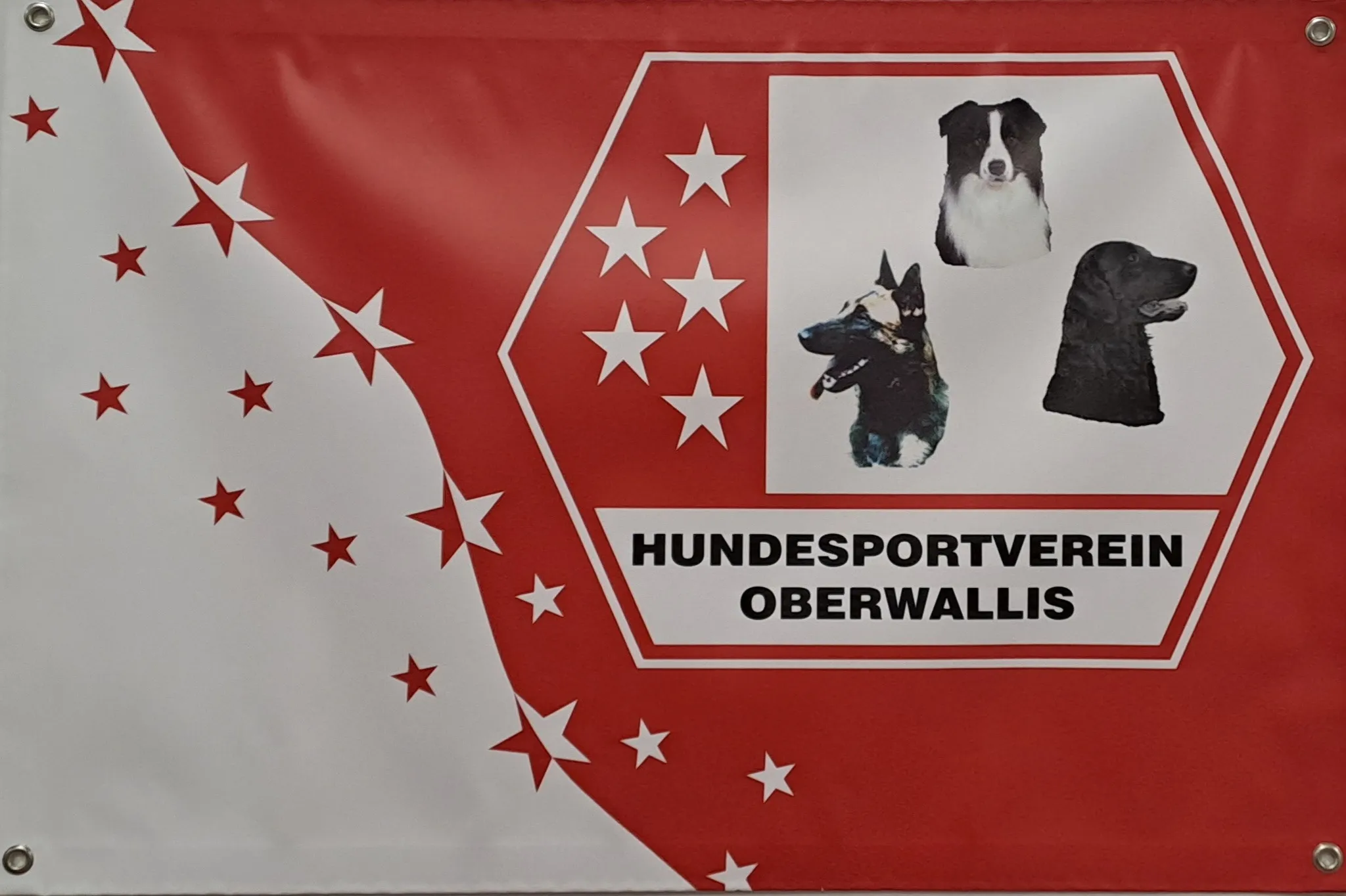Hunde Sport Verein Oberwallis